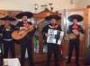 13 de Mayo d�a de la madre, sorprendela con Mariachis!! en www.chilevalioso.cl. Aviso Gratis enviado por Mariachis Chile Mexico el 13/4/2012
