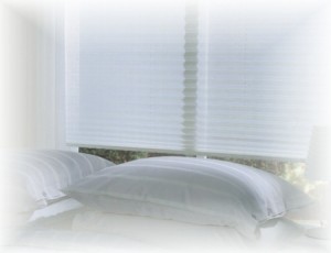 PERSIANASMAGDALUX Anuncios de arte, joyas, cosas valiosas en Vitacura |  LIMPIEZA DE CORTINAS Y PERSIANAS TODOS LOS MODELOS 95783216, REPARACION Y LAVADO DE PERSIANAS FLEXALUM LUXAFLEX HUNTER DOGLAS 