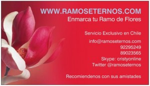 cristina diaz Anuncios de arte, joyas, cosas valiosas en Vitacura |  Ramos de novia, prensados y enmarcados Servicio para todo Chile