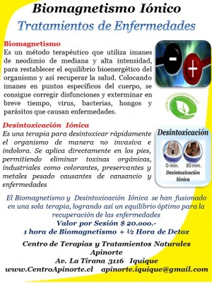 Centro Apinorte Anuncios de arte, joyas, cosas valiosas en Iquique |  Biomagnetismo , Biomagnetismo ionico de Salud