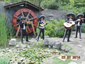 Mariachi Tierra Nueva Anuncios de arte, joyas, cosas valiosas en Cerrillos |  Mariachis en cerrillos: (022) 573 31 58, !!! un regalo (022) 573 31 58 !!!