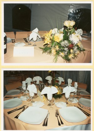EVENTO SIGLO XXI Anuncios de arte, joyas, cosas valiosas en Maip&uacute; |  c&ograve;ctel-cena econ&ograve;mico $8.900 pp. todo incluido a&ntilde;o 2009, banqueter&igrave;a integral para empresas y particulares