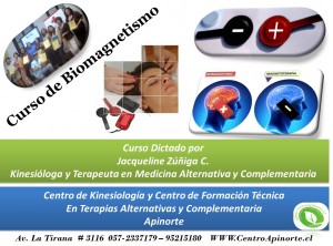 Centro Apinorte Anuncios de arte, joyas, cosas valiosas en Iquique |  Curso de biomagnetismo y magnetoterapia en iquique, Curso de biomagnetismo y magnetoterapia