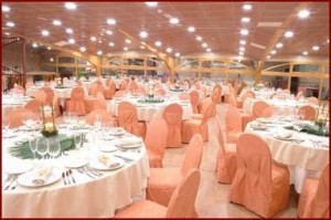 Marcelo Dadilet V Anuncios de arte, joyas, cosas valiosas en Santiago |  servicio de banqueteros matrimonios, bautizos, graduaciones ,etc , banqueteria para matrimonios, cenas de gala etc   fono 2827282